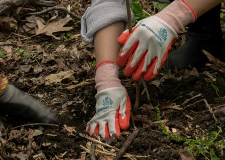 We compenseren onze uitstoot in het Fixaway klusbos