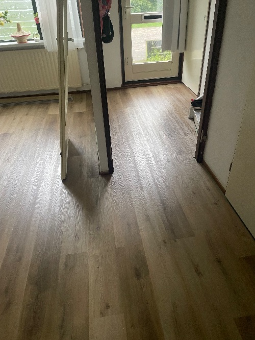 models/user.profile_image Faizel Sultan